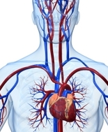 Fans aumentano rischio di sanguinamento negli infartuati in terapia antitrombotica